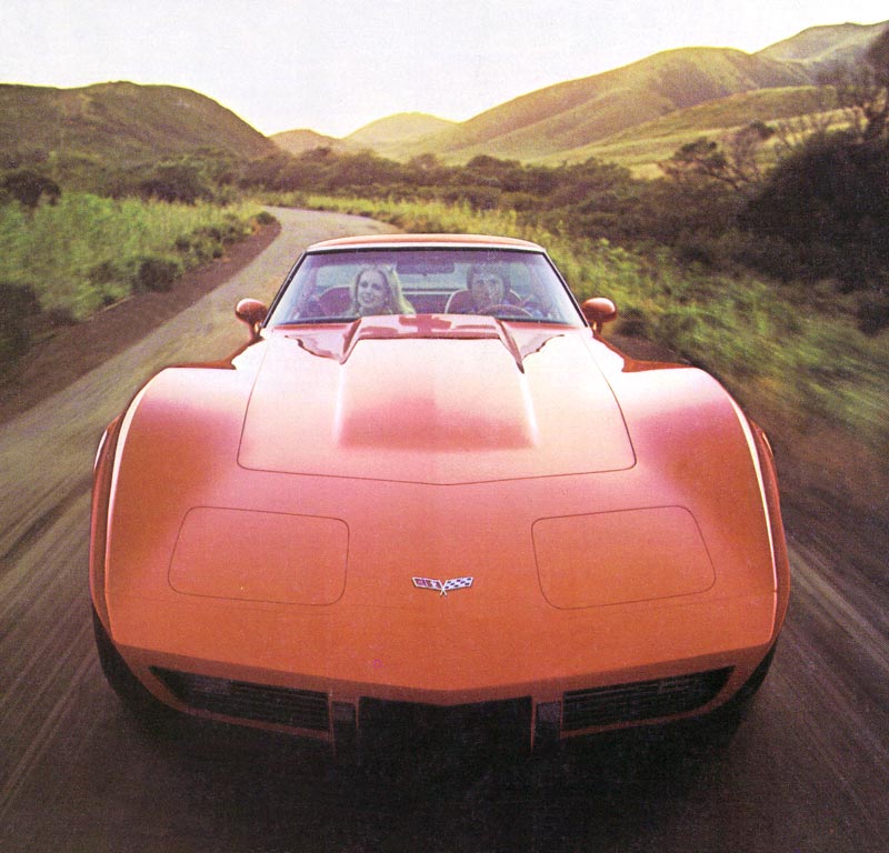 1979 Chevrolet Corvette Brochure Illustration